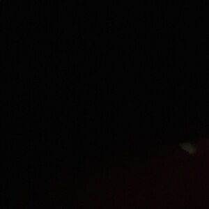 @dvlkmylove live show purchase and free item